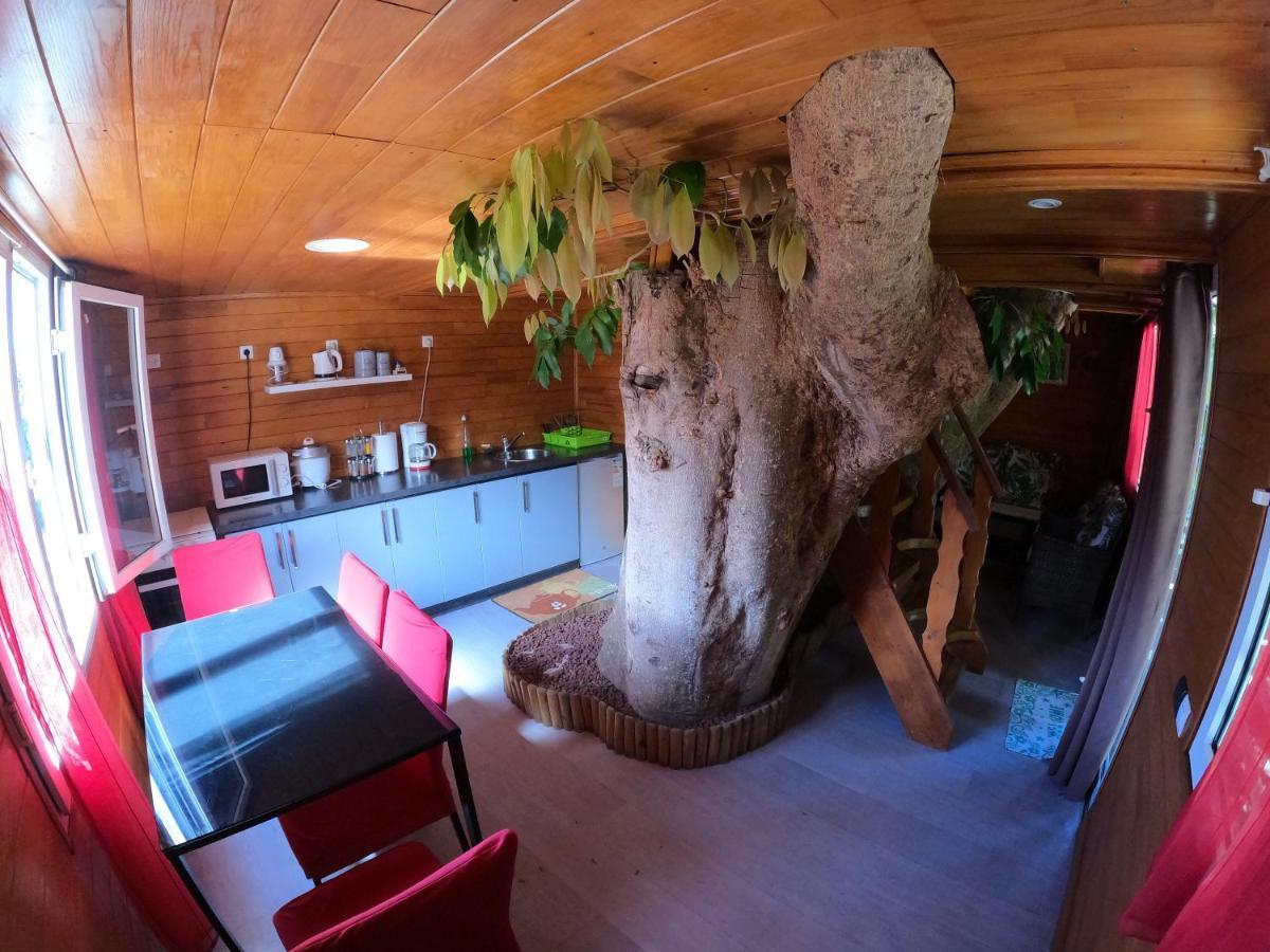 Ti Kaz Perchee Villa Entre-Deux Buitenkant foto
